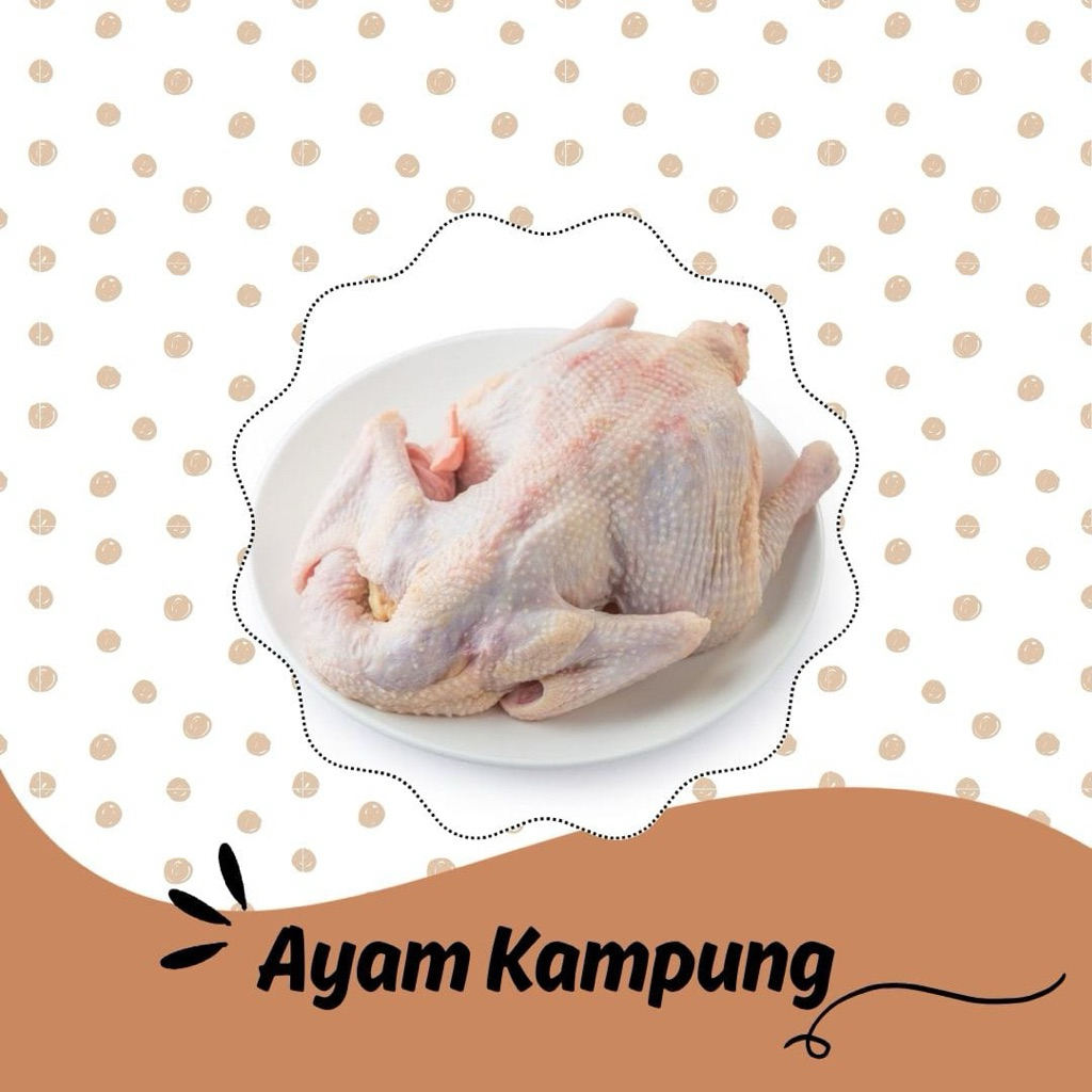 

Ayam kampung