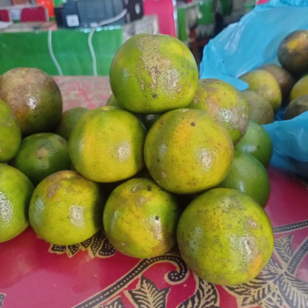 

PROMO! Jeruk Manis Jeruk Siam Madu 1 Kg FRESH!!!