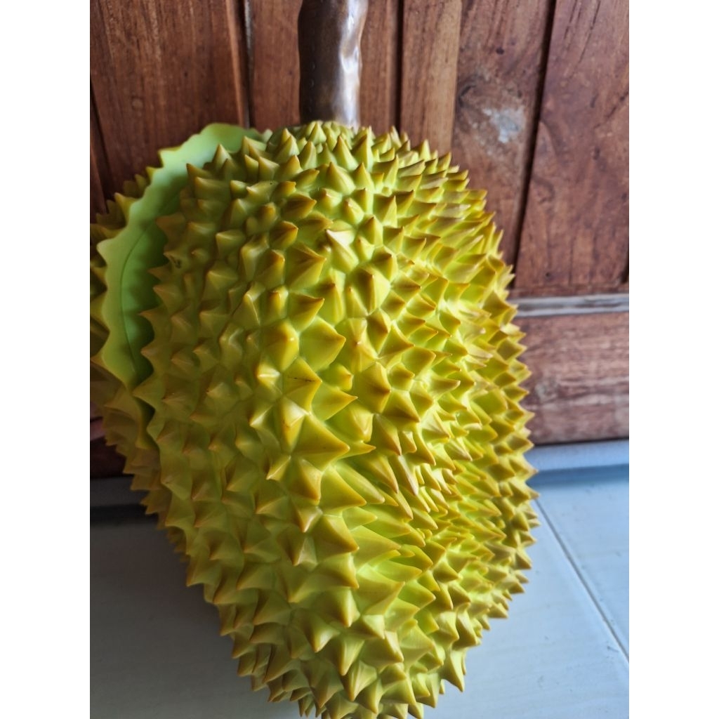 

buah durian pajangan