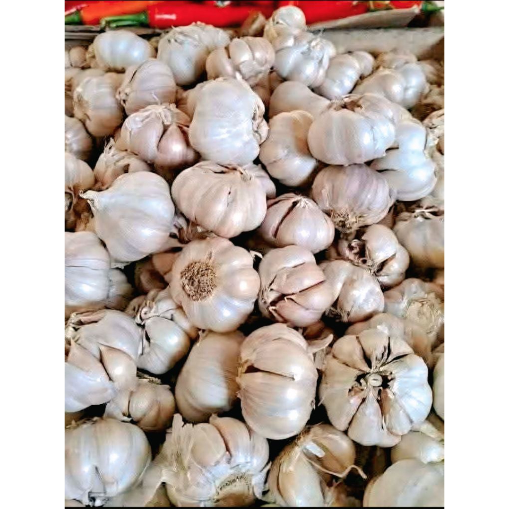

Bawang Putih Bersih 1kg
