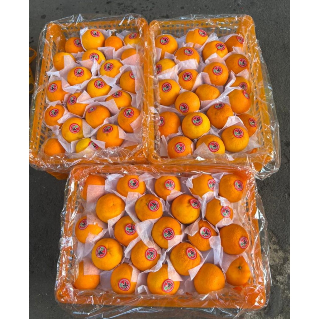 

Jeruk Wokam/Jeruk Mandarin Jeruk Imlek 7kg 1keranjang Manis