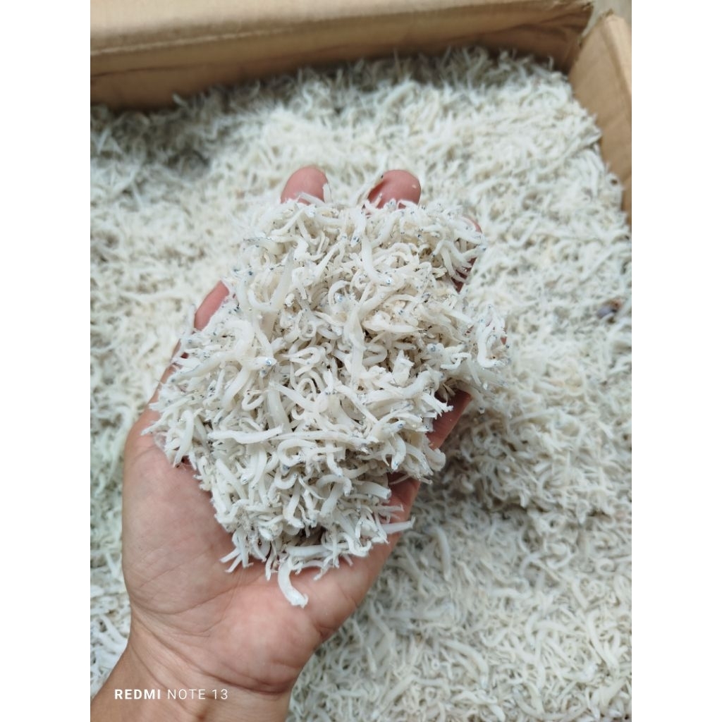 

Teri Nasi Medan