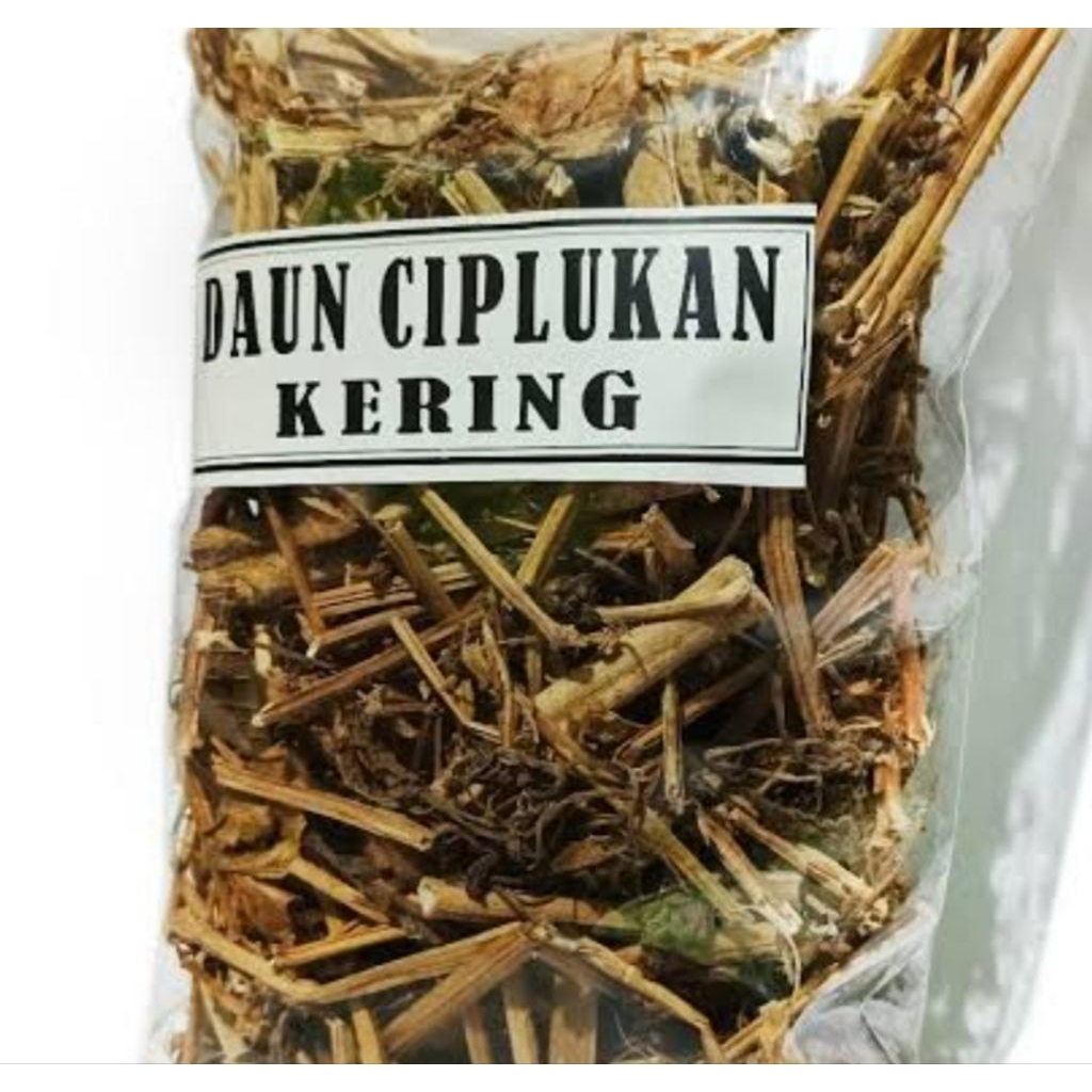 

Daun ciplukan kering / ciplukan kering perbungkus-az