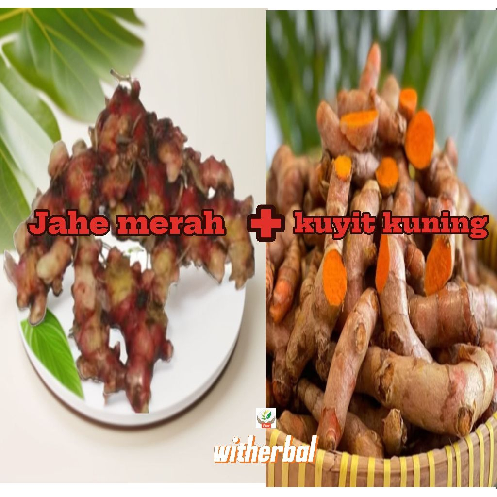 

Paket kumplit jahe merah 500grm + kuyit 500grm