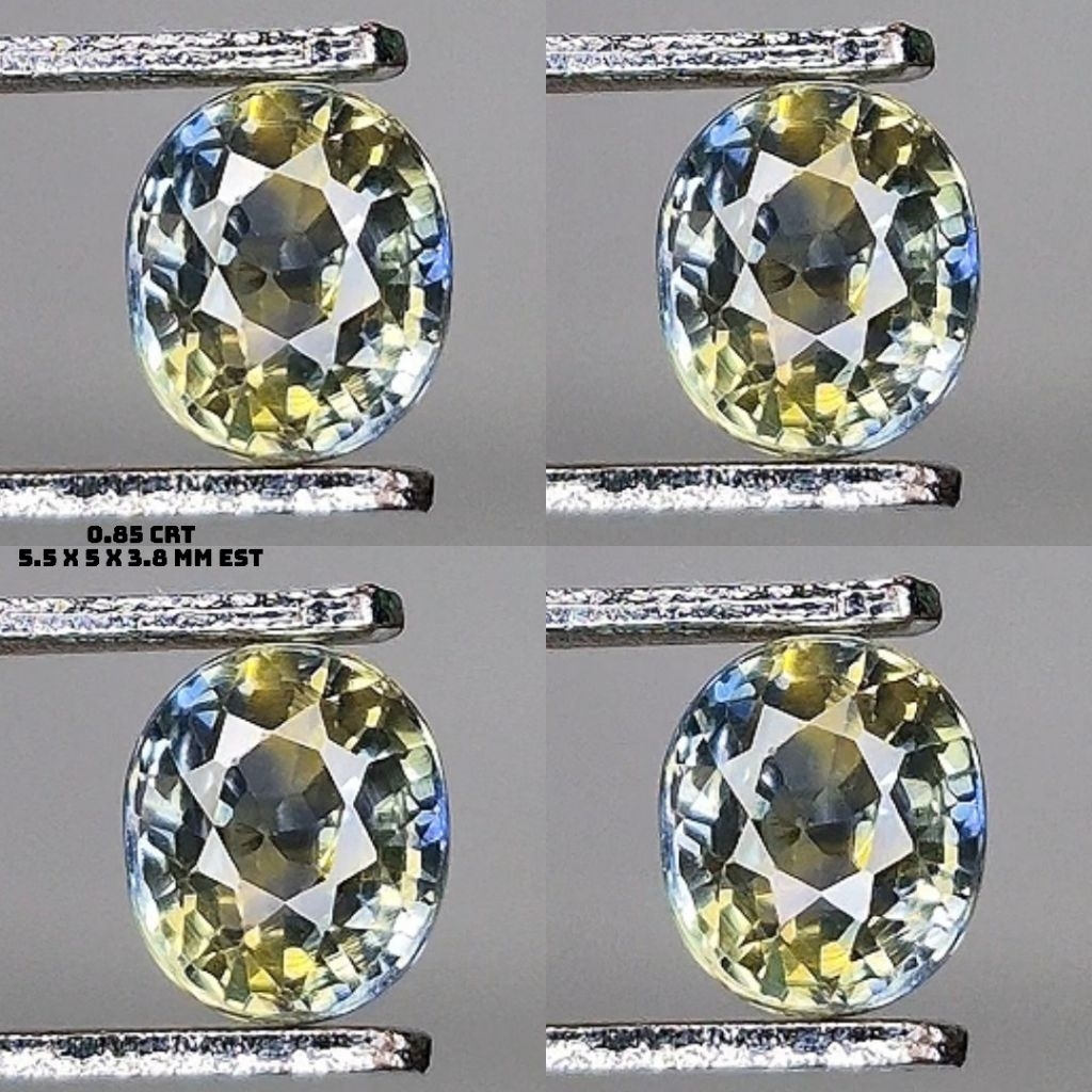 Natural Bicolor Fancy Sapphire Unheated Noheated Bi Color Srilanka