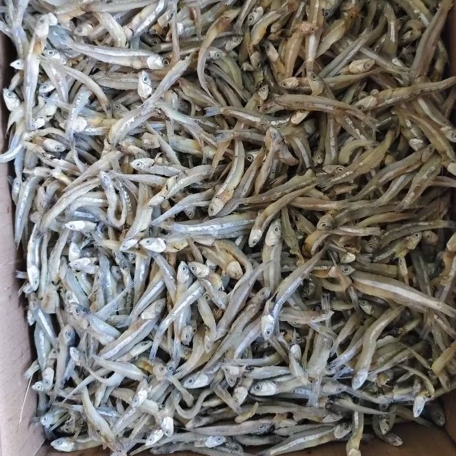 

Cahayadstore Ikan Asin Teri Jengki Kering Premium !!!