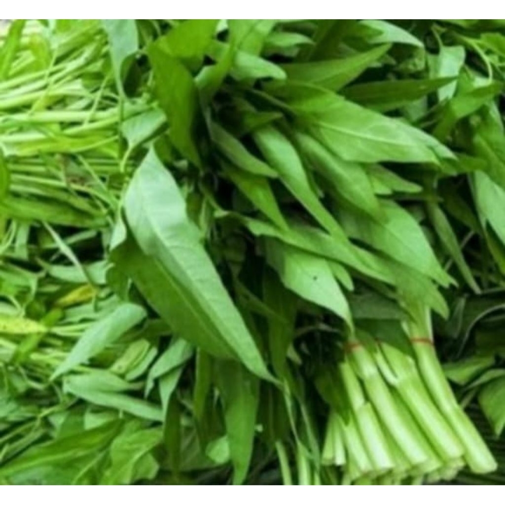 

sayur kangkung 5iket sayur segar alami