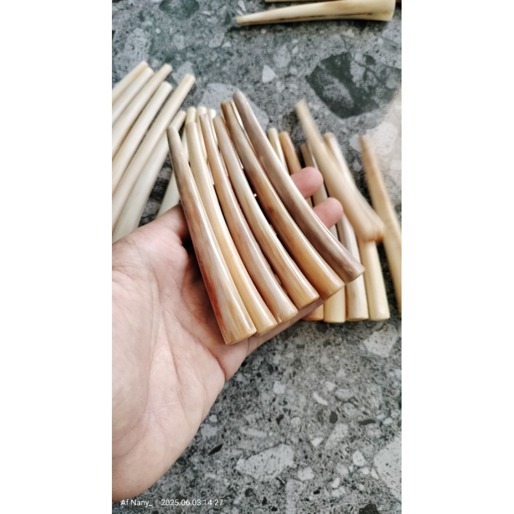 SIRIP MARLIN/PIPA ONCE SIRIP MARLIN