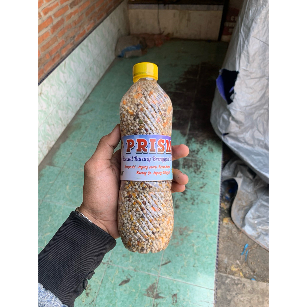 PAKAN BURUNG TEKUKUR, DERKUKU, BRENGGOLO