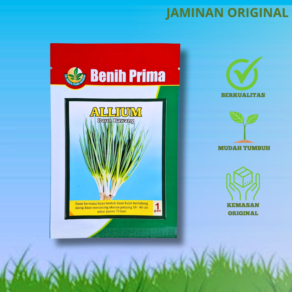 Benih Daun Bawang ALLIUM 1 gr Unggul Cap Benih Prima Lebat