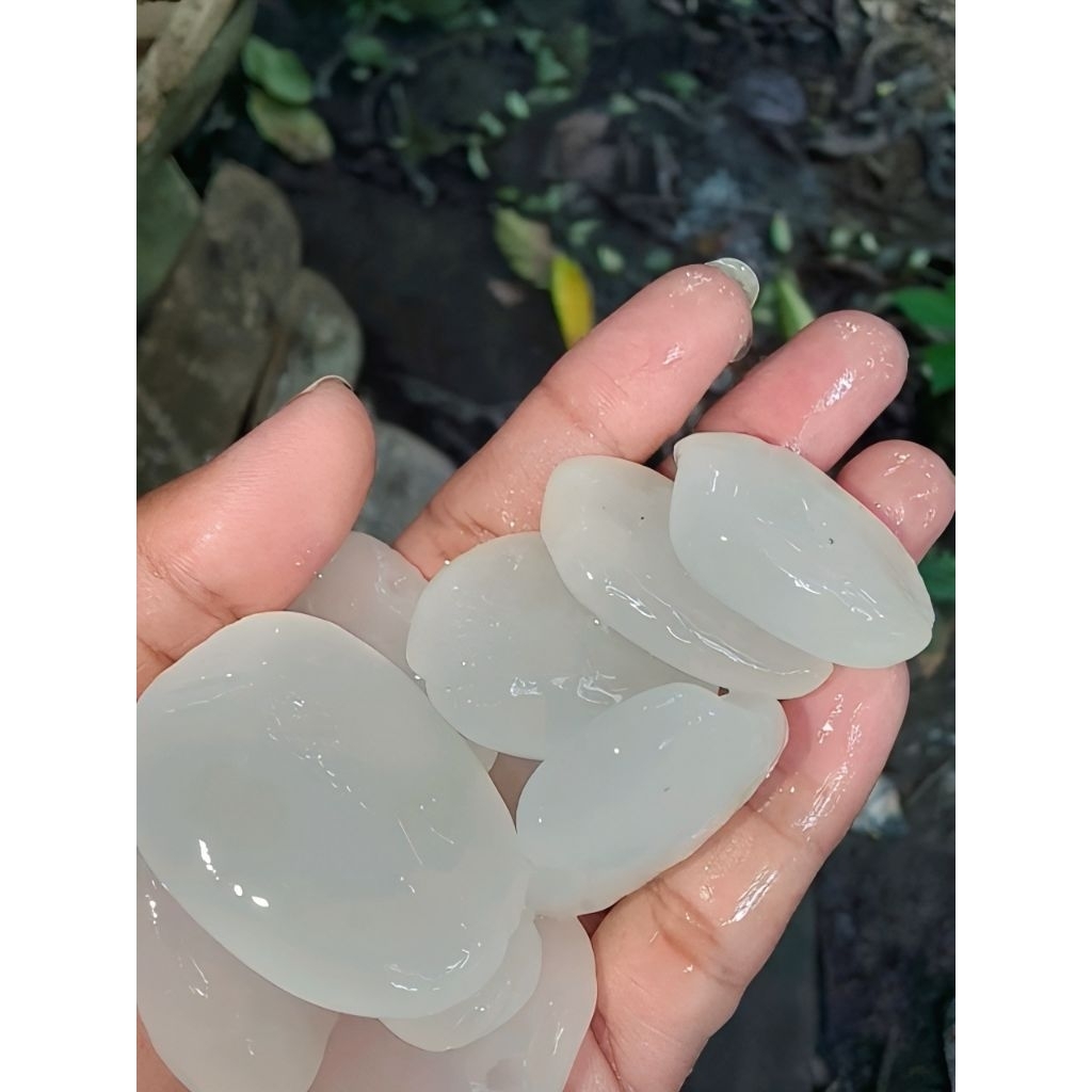 

Kolang Kaling fresh segar 1kg COD