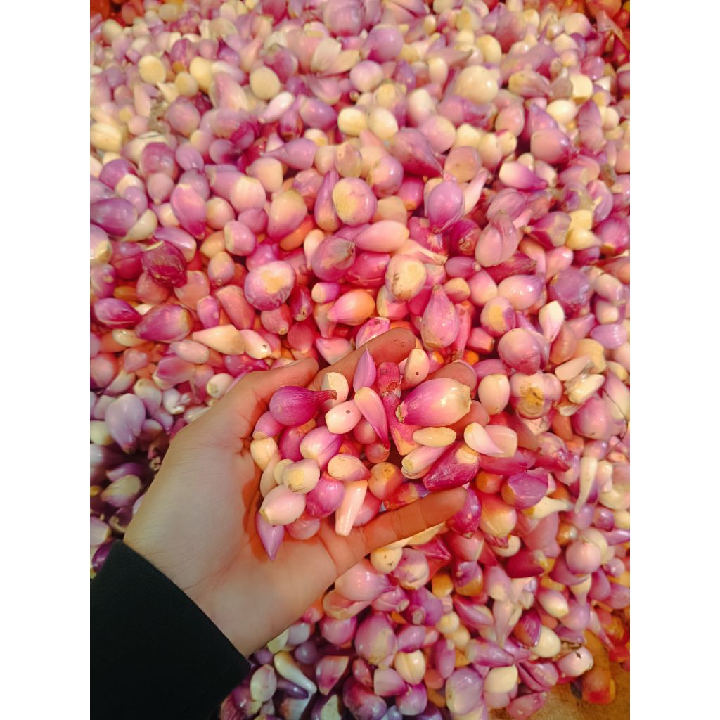 

BAWANG MERAH KUPAS SEGAR 250gr/1000gr