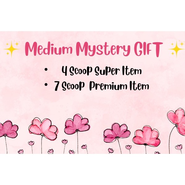 

MEDIUM MYSTERY GIFT