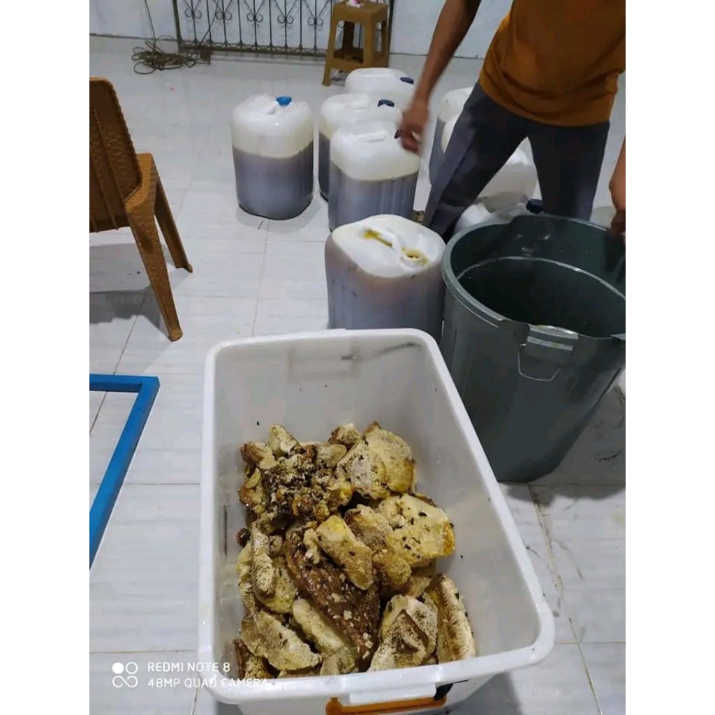 

Madu hutan liar 1 KG