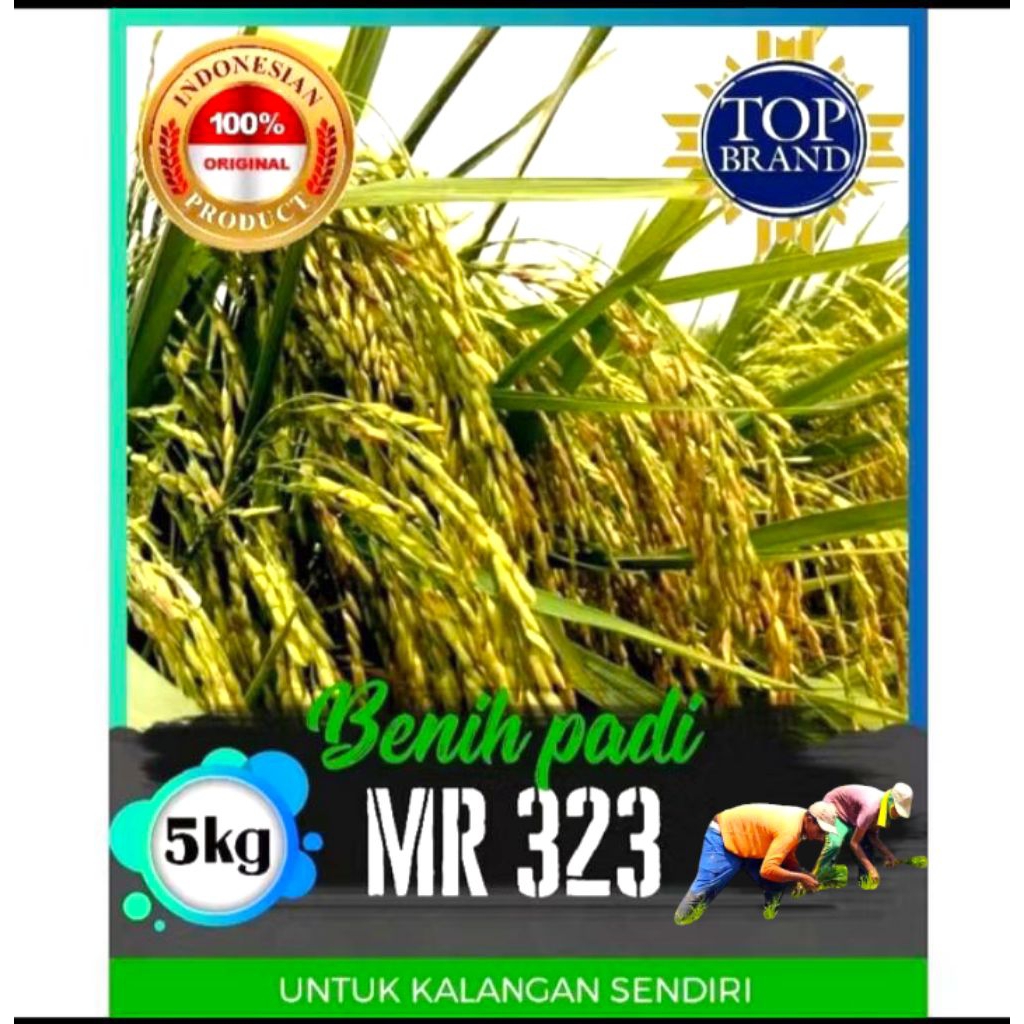bibit benih padi mr323 unggul berkualitas berbobot 5kg