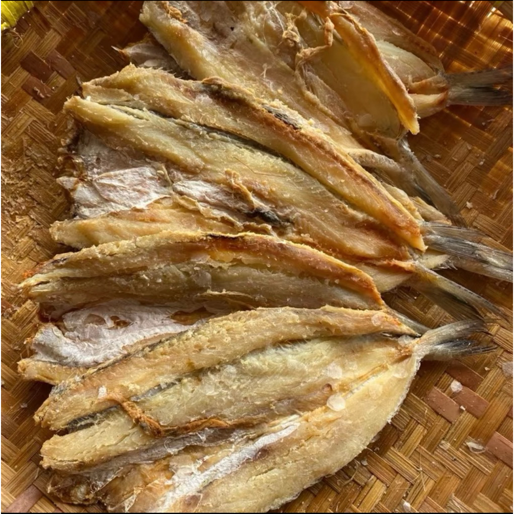 

GABUS LAUT 500 GR KUALITAS PREMIUM