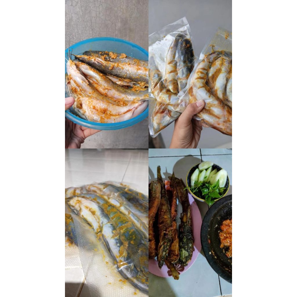 

PRAKTIS LELE MARINASI SIAP GORENG/LELE VACUM/LELE FROZEN SUDAH DI BUMBUI