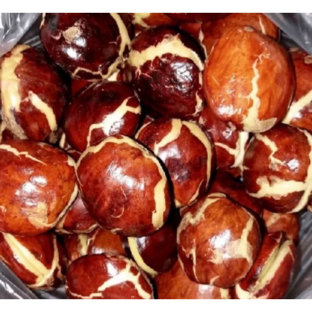 

DAPUR EXPRESS JENGKOL TUA MENTAH 500 Gram