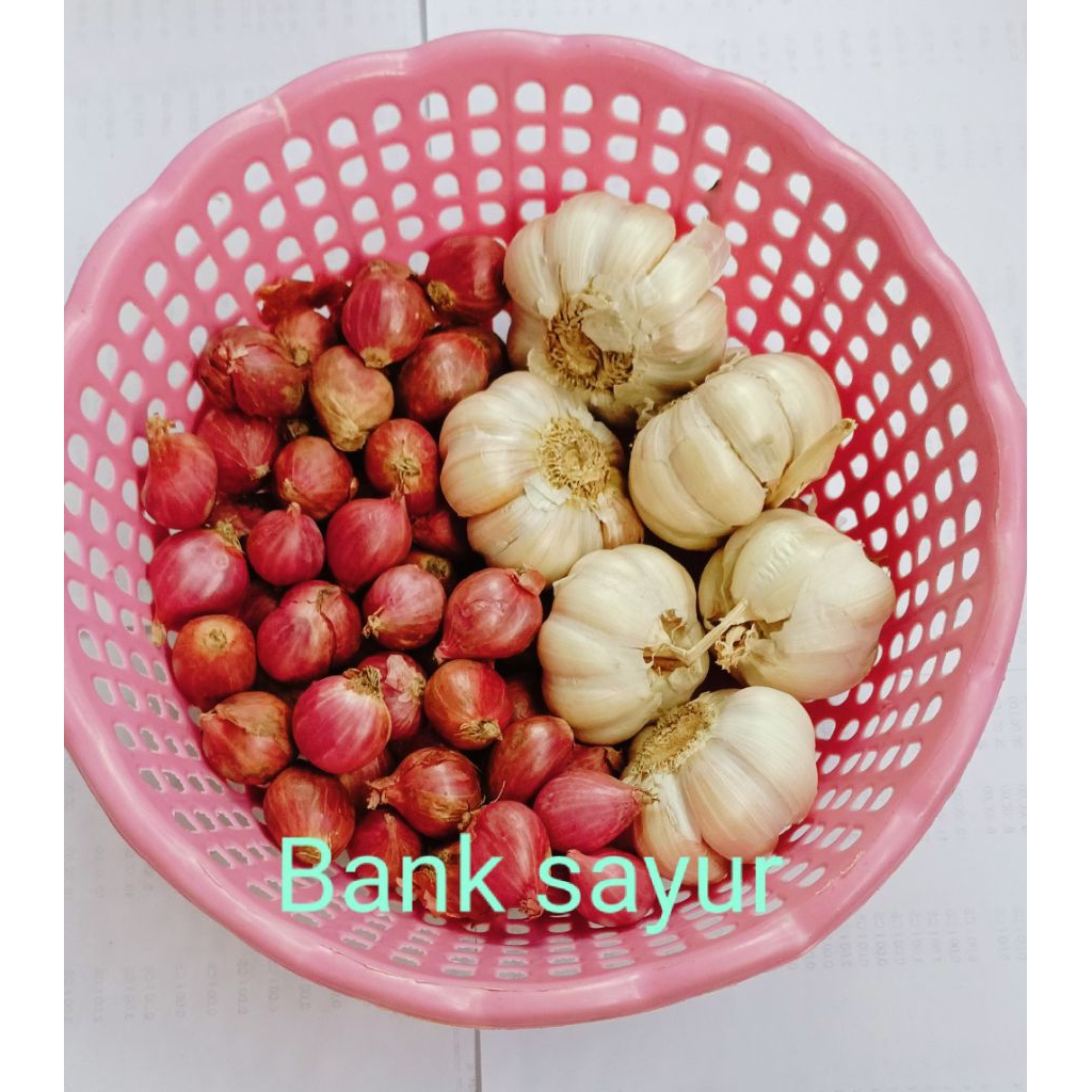 

Paket Bamer Baput Sinco 500gr
