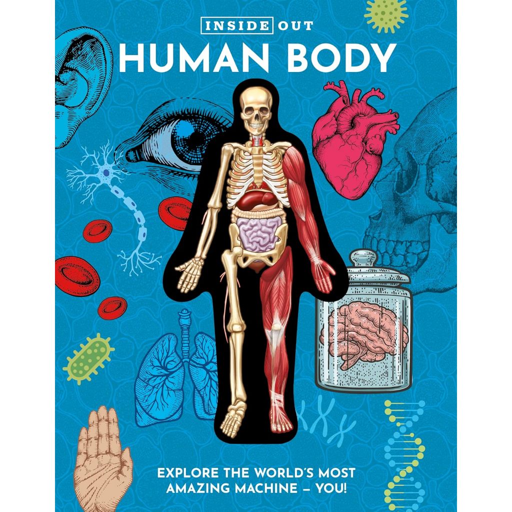 Inside Out Human Body