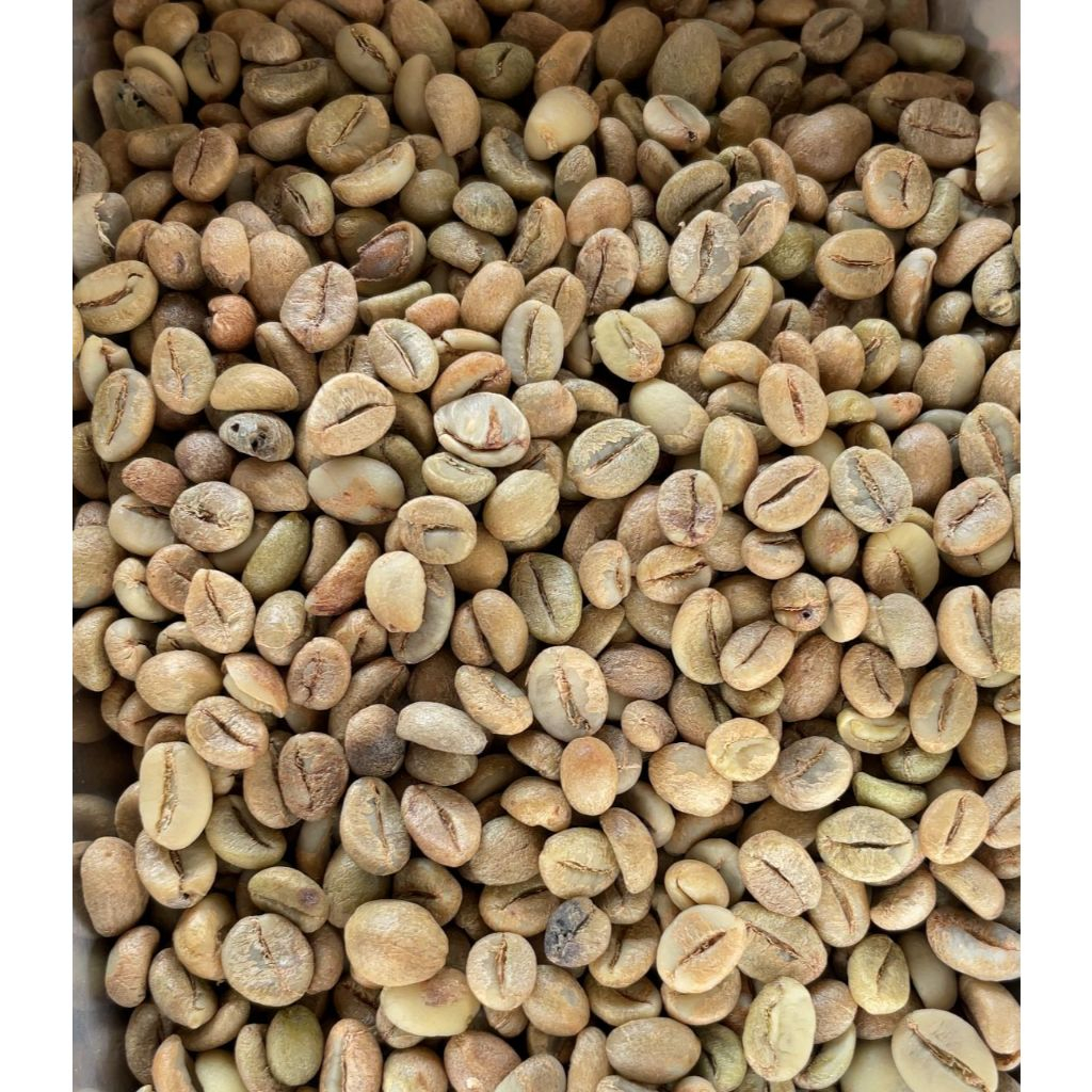 

Kopi Robusta Cibeber Green bean Coffee Full Wash Kopi Robusta Cibeber