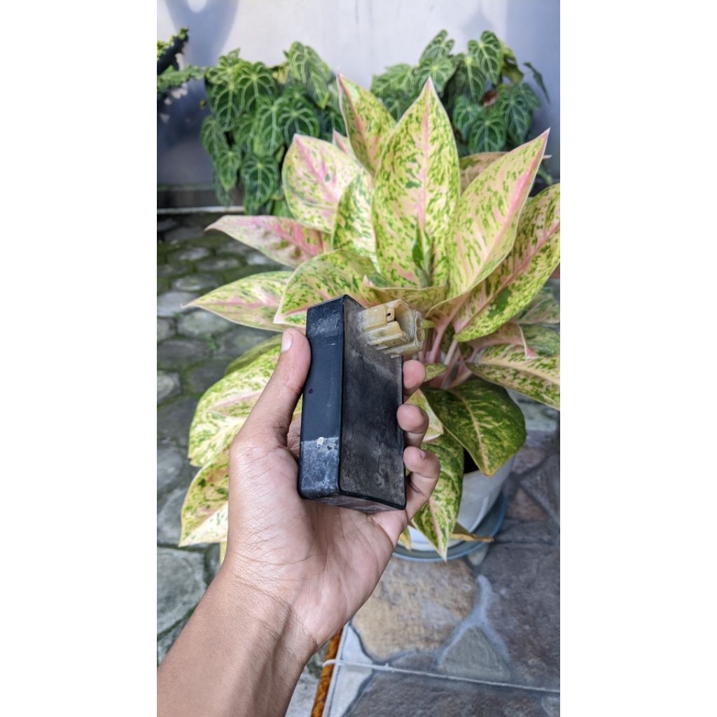 CDI MEGAPRO PRIMUS ORIGINAL COPOTAN MOTOR