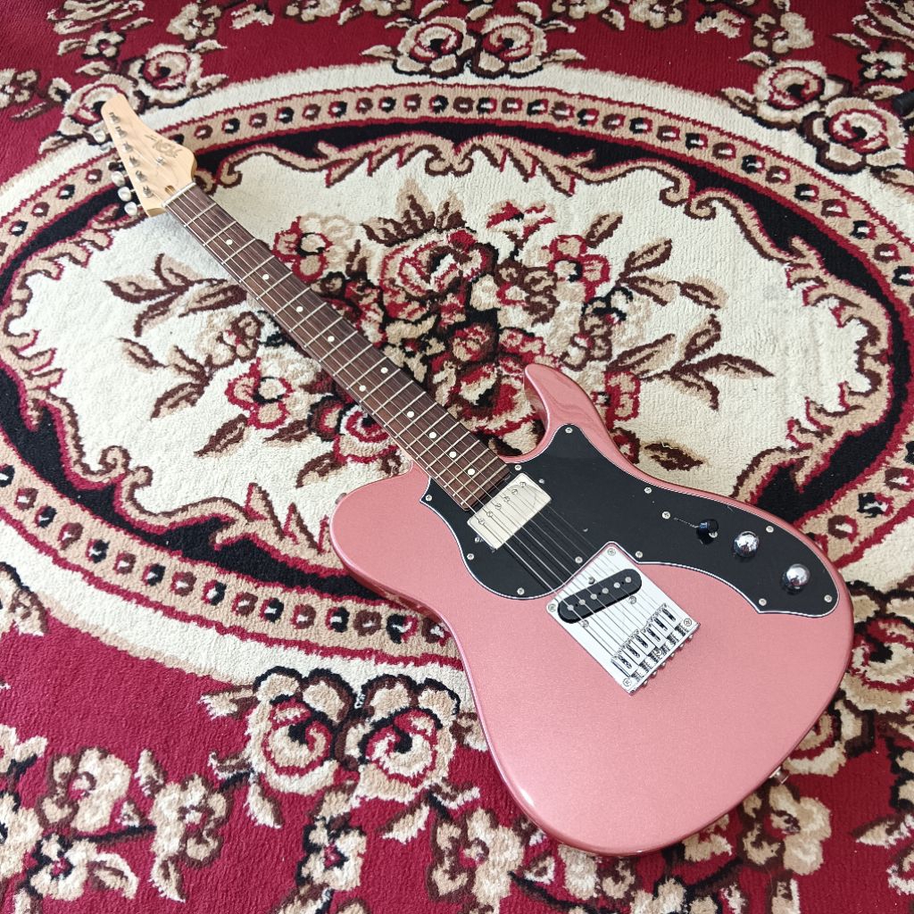 fujigen j standard / boundray seris japan gitar