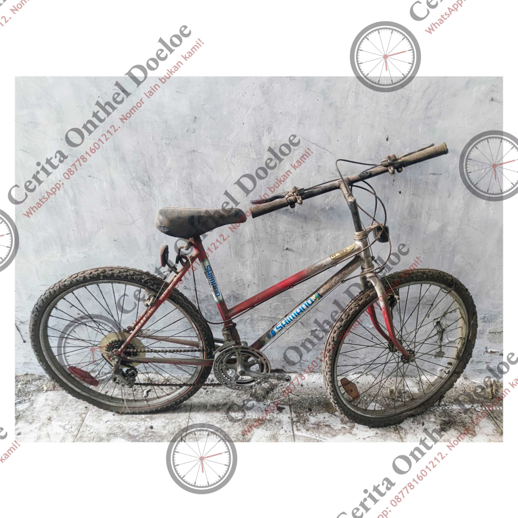 SHIMANO TAHUN 1992 SEPEDA GUNUNG MTB WOMAN WANITA JADUL KUNO KOLEKSI ANTIK DIJAMIN ORIGINAL