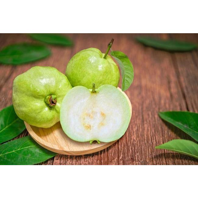 

QV Jambu kristal organik