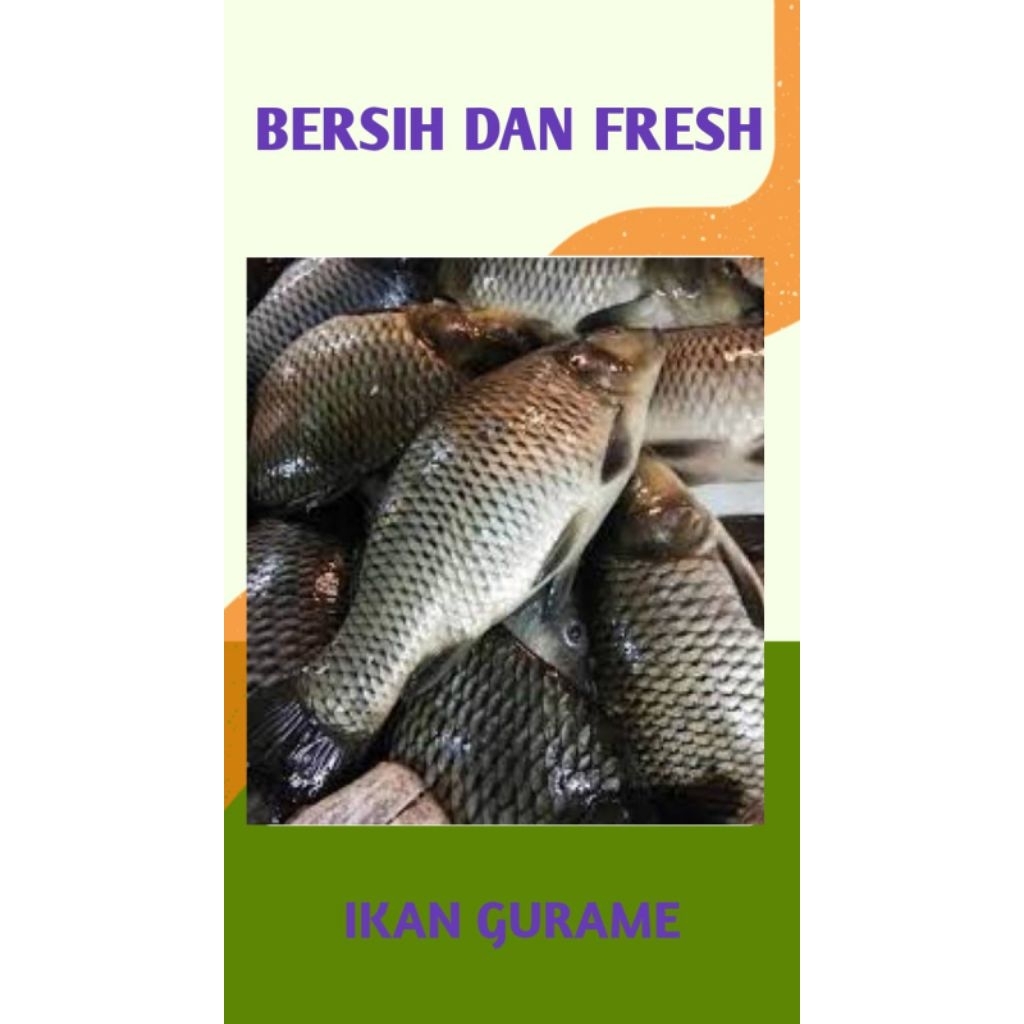 

IKAN GURAME SEGAR DAN BERIH - PALEMBANG