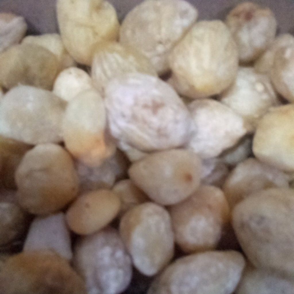 

KEMIRI BULAT 250gr/1000gr