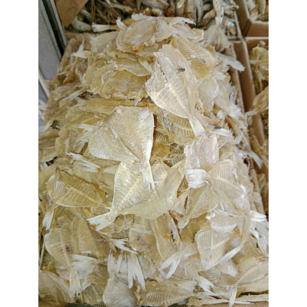 

IKAN ASIN KALAPAN PAKANG TAWAR