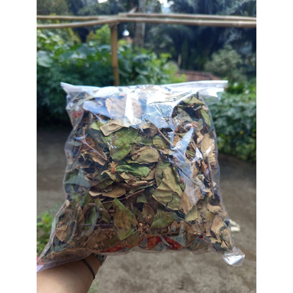 

ready paket hemat benalu Teh kering asli per 500gram