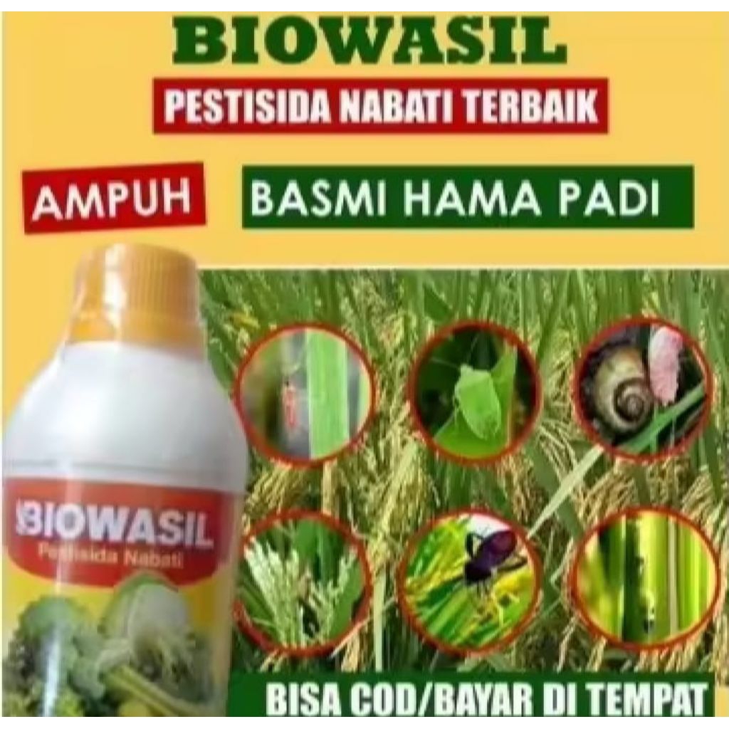 PUPUK BIOWASIL OBAT HAMA ULAT PADI SUNDEP BELUK 500 ML Obat Hama Padi Atasi Hama Ulat Sundep Wereng