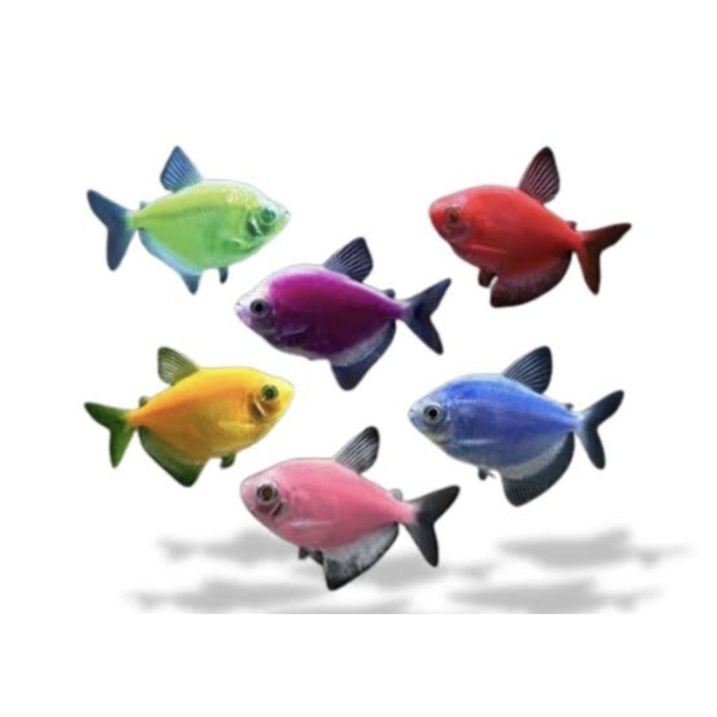 TETRA JUMBO GLOWFISH (PAKET10EKOR)