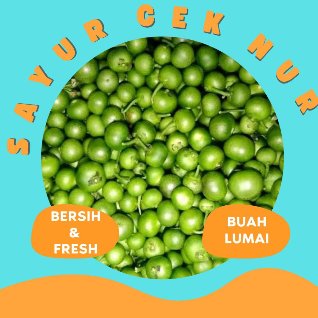 

BUAH LUMAI / LUENCA - INSTAN PALEMBANG