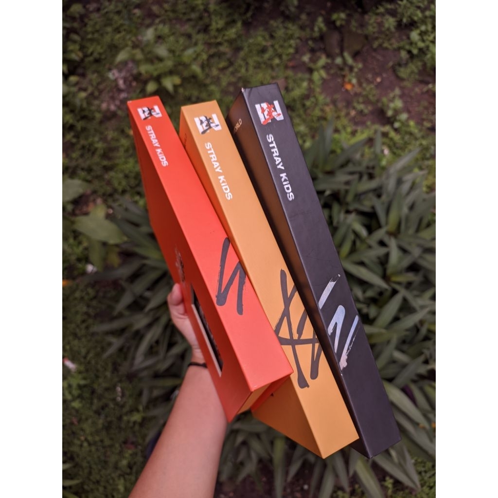 SKZ INLIFE ALBUM ONLY