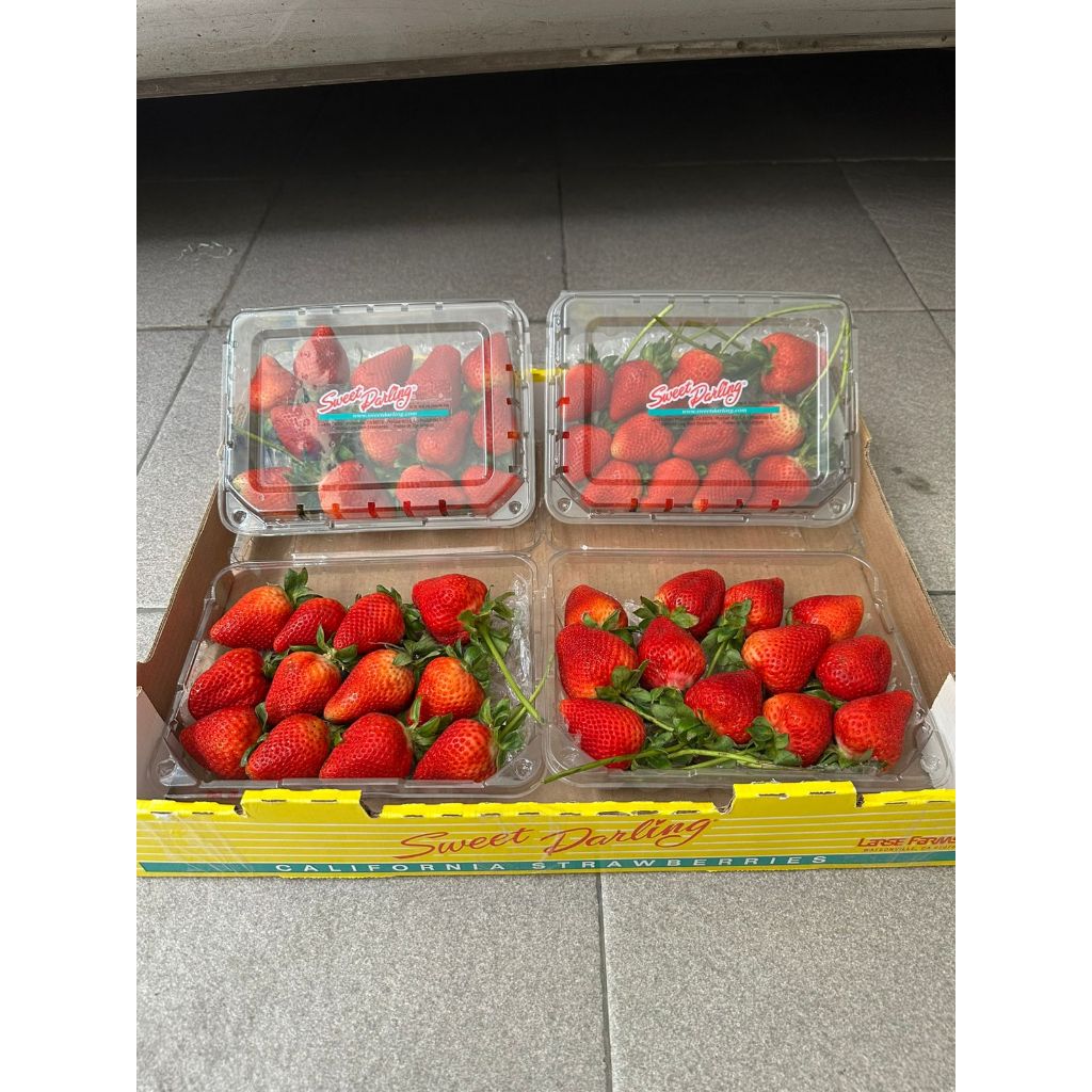 Buah Strawberry Sweet Darling USA 1 Dus (Isi : 4, 8, 12, 16 Pack) Fresh Import
