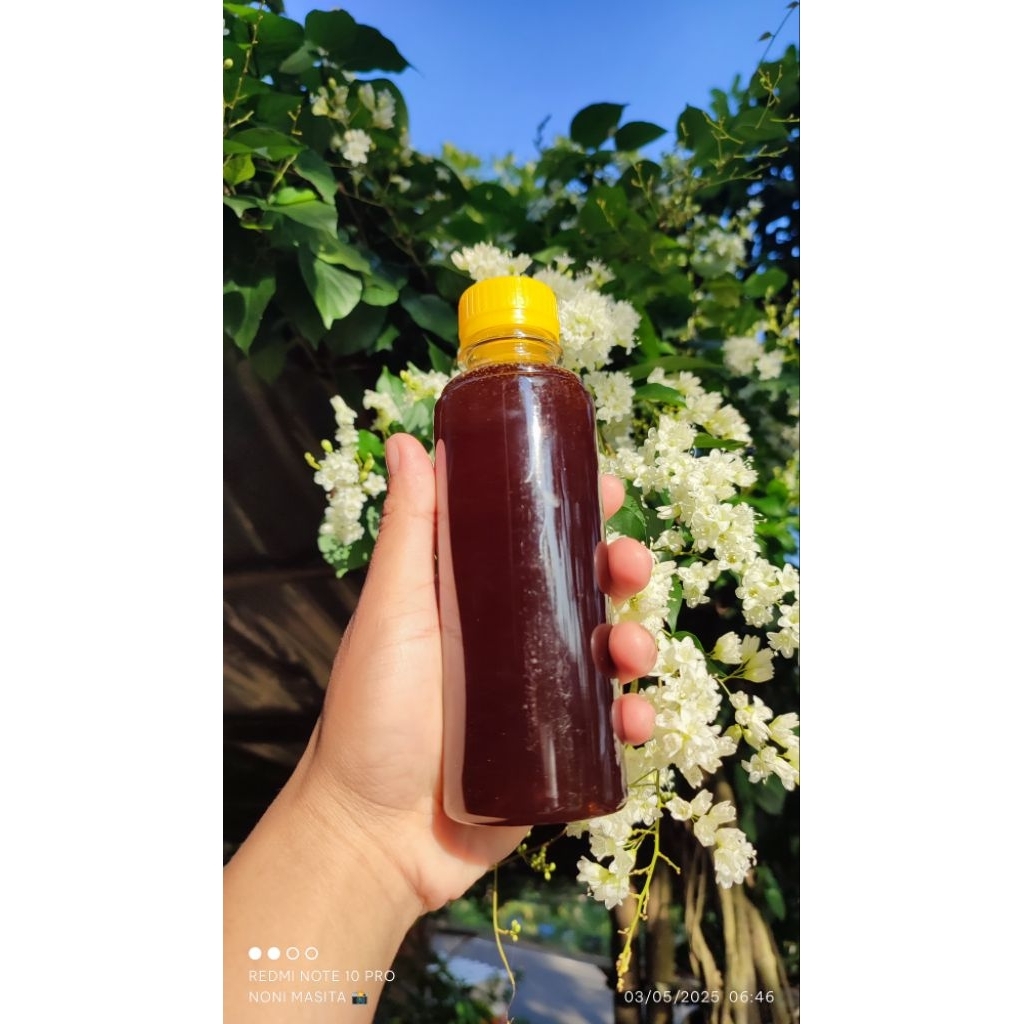

Madu Asli Apis Cerana 250 ml