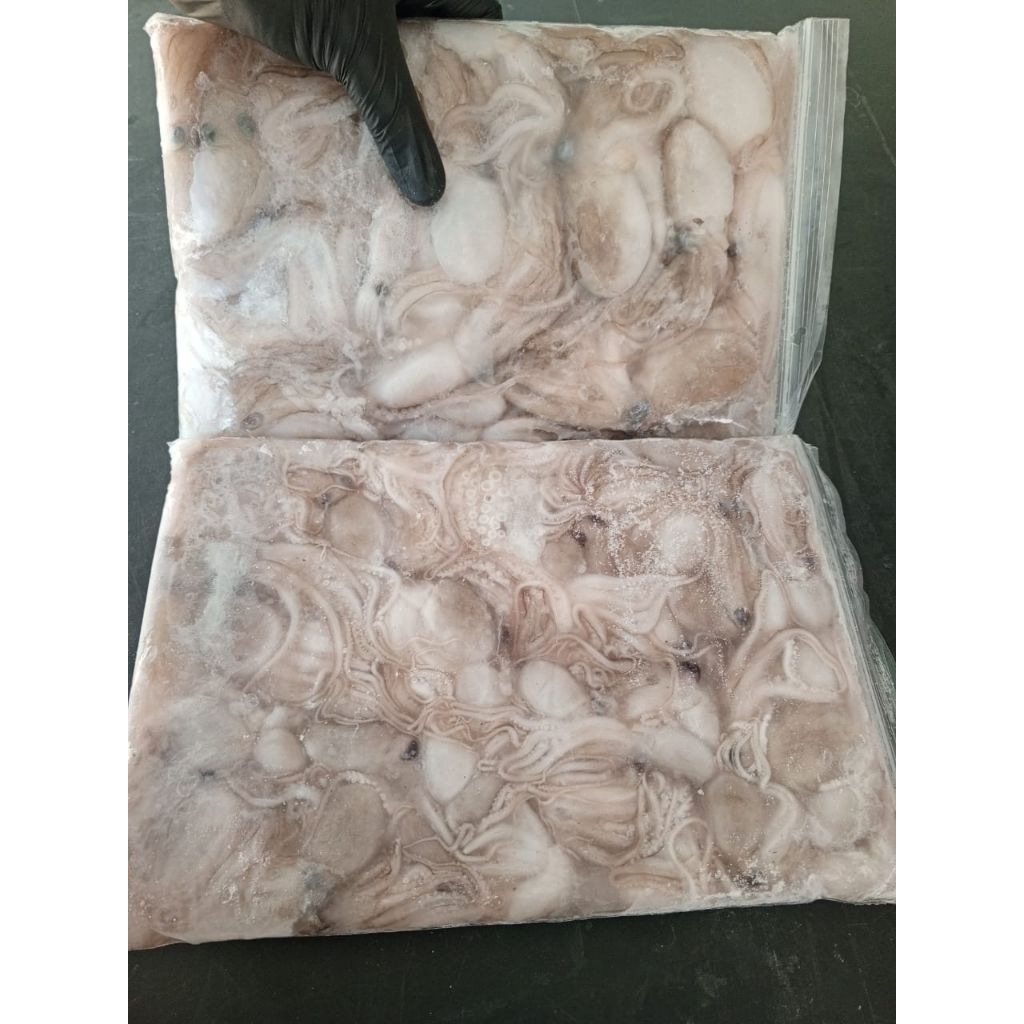 

Baby Gurita Frozen 1kg