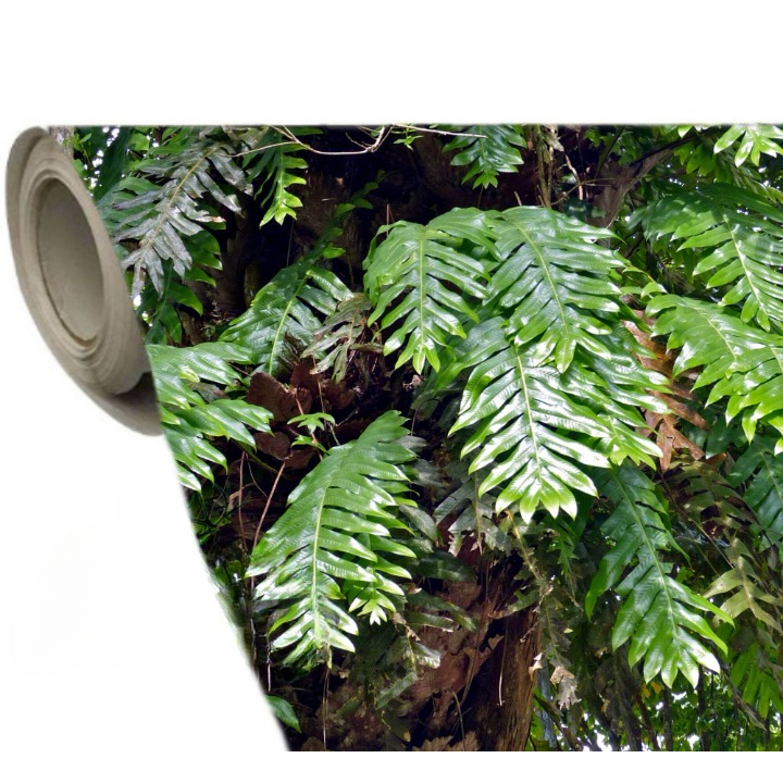 

Stiker Camo 50x50cm Natural Balauka