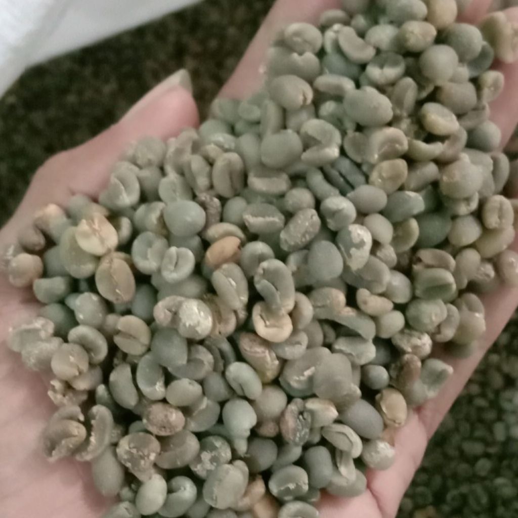 

Green Bean Arabika Aceh Gayo Semi Wash G2 1kg