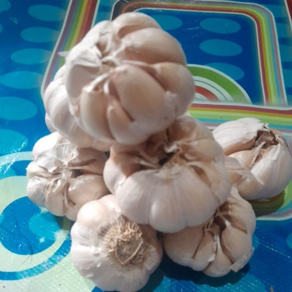 

bawang putih 1/2 kg bersih