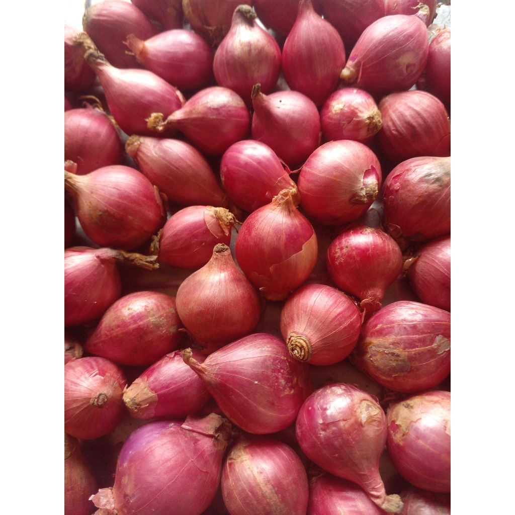 

bawang merah kering ukuran kecil/mini 1 kg