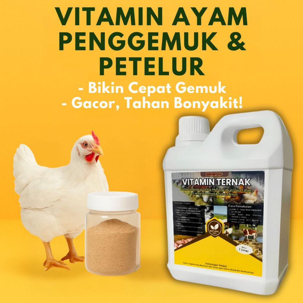 Vitamin Ayam Kampung & Broiler Agar Cepat Besar Nutrisi Terbaik Sebagai Boster Penggemuk Ternak Ayam