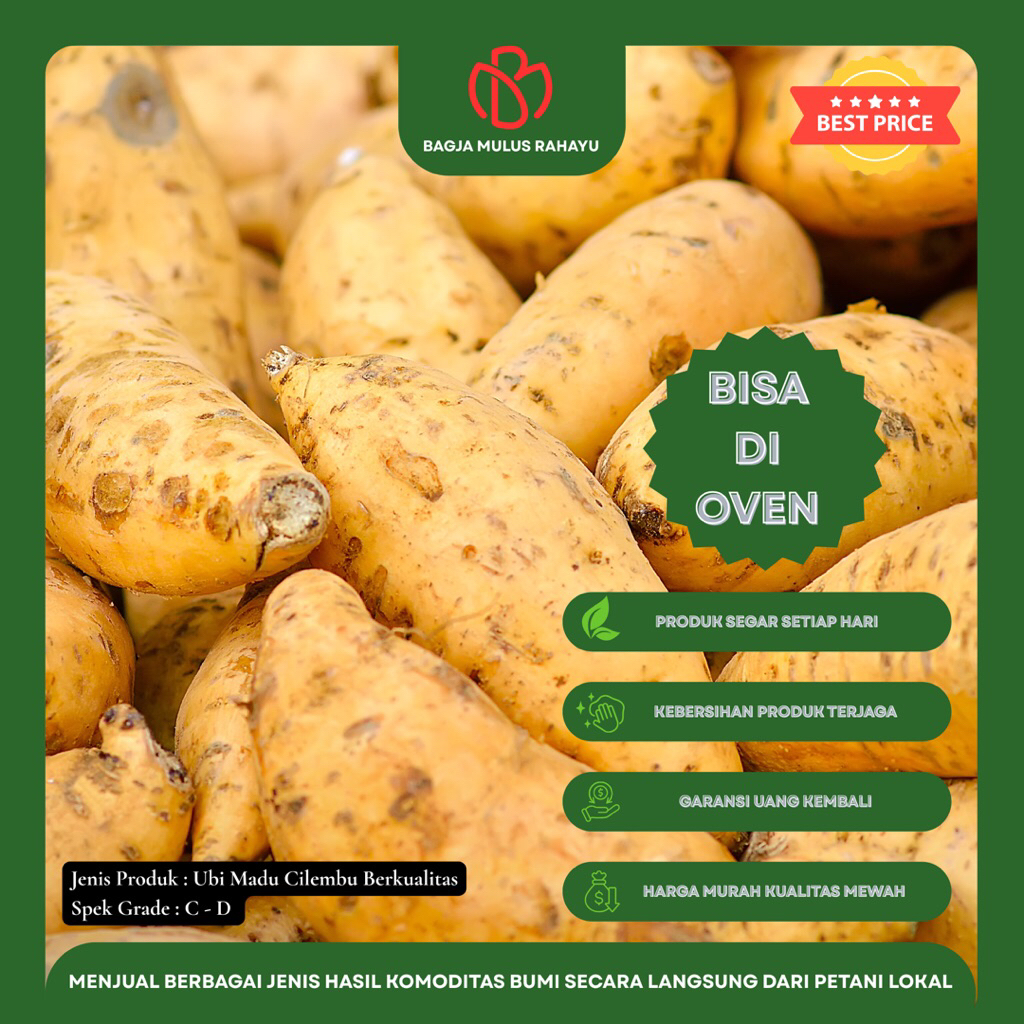 

Ubi Madu Cilembu Asli - [ Grade CD ] - Ubi Madu Cilembu Spek Oven