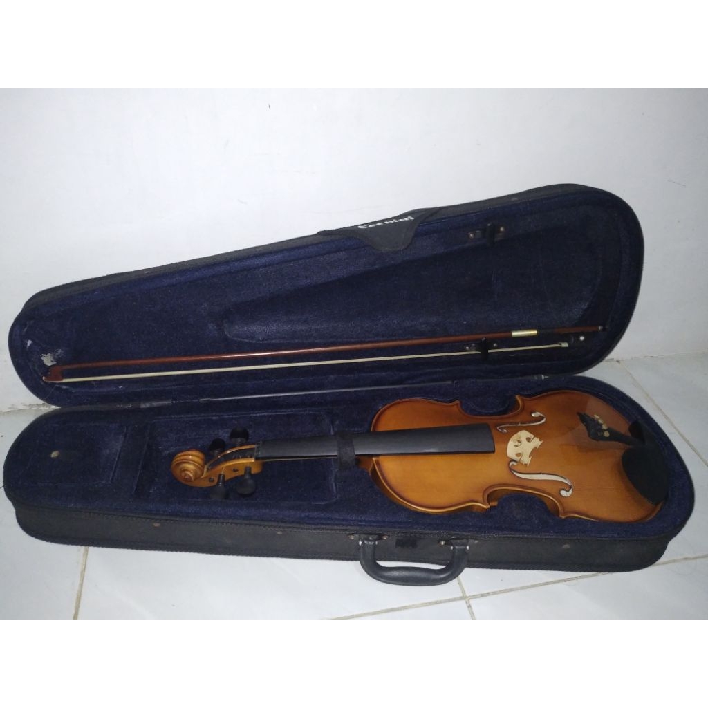 Biola Fransesco Cervini HV-300