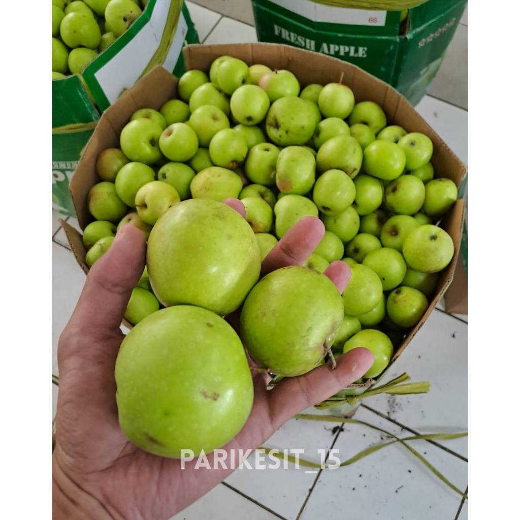 

Apel Manalagi Ukuran Besar Batu Malang 1kg (isi 7 – 10 buah)