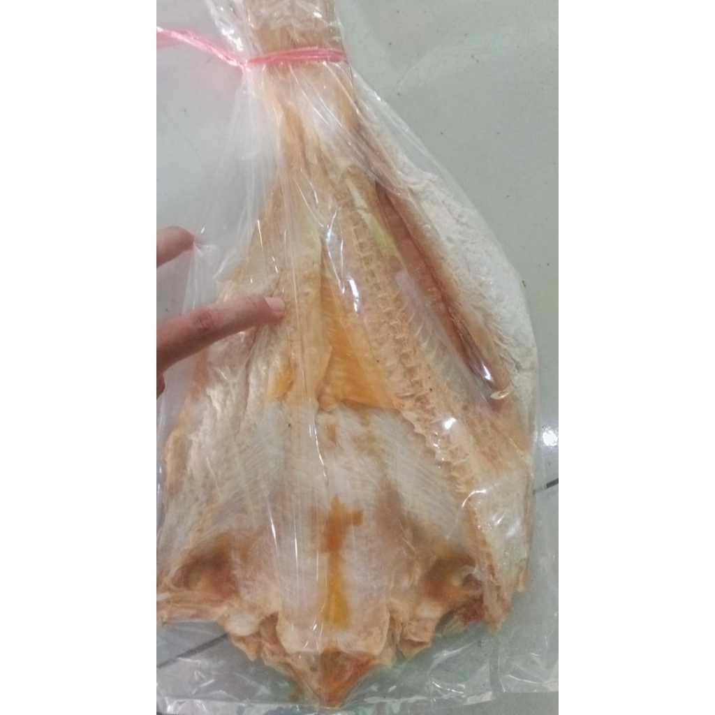 

Ikan Asin Jambal Roti tanpa kepala