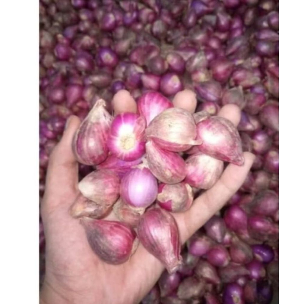 

BAWANG MERAH FRESS 500g